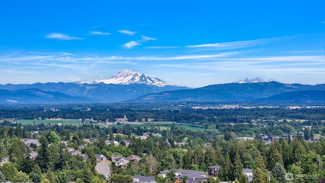 6002 Ridgeview Pl, Ferndale, WA 98248 - mountain view