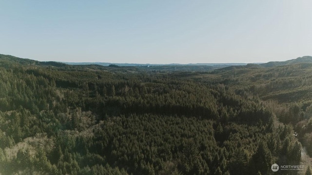 9999 Mina Smith Rd, Forks, WA 98331 - photo 1