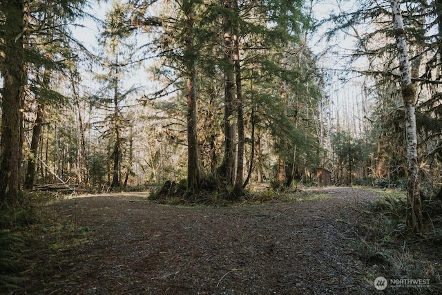 9999 Mina Smith Rd, Forks, WA 98331 - photo 2