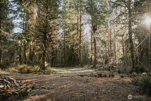 9999 Mina Smith Rd, Forks, WA 98331 - photo 6