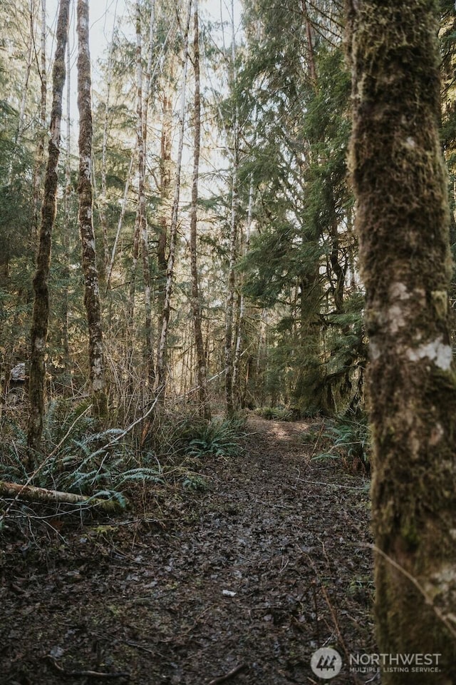 9999 Mina Smith Rd, Forks, WA 98331 - photo 7