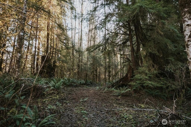 9999 Mina Smith Rd, Forks, WA 98331 - photo 8