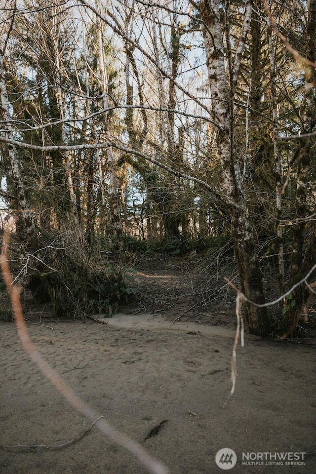 9999 Mina Smith Rd, Forks, WA 98331 - photo 12