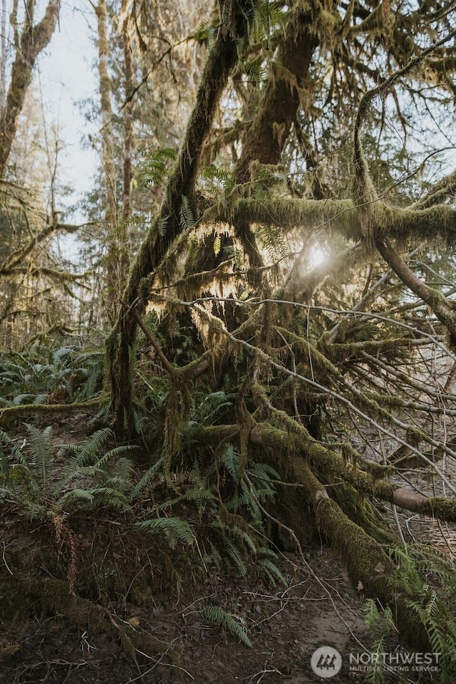 9999 Mina Smith Rd, Forks, WA 98331 - photo 13
