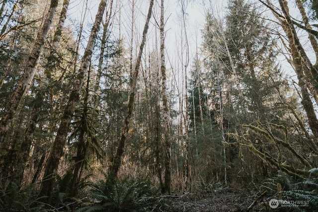9999 Mina Smith Rd, Forks, WA 98331 - photo 14