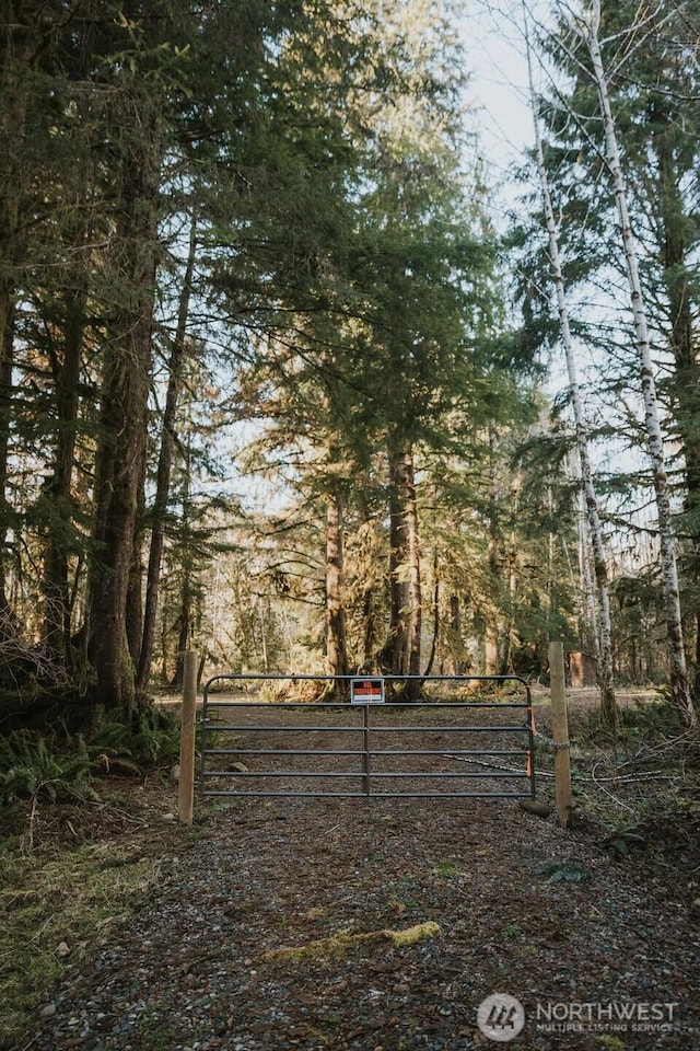 9999 Mina Smith Rd, Forks, WA 98331 - photo 15