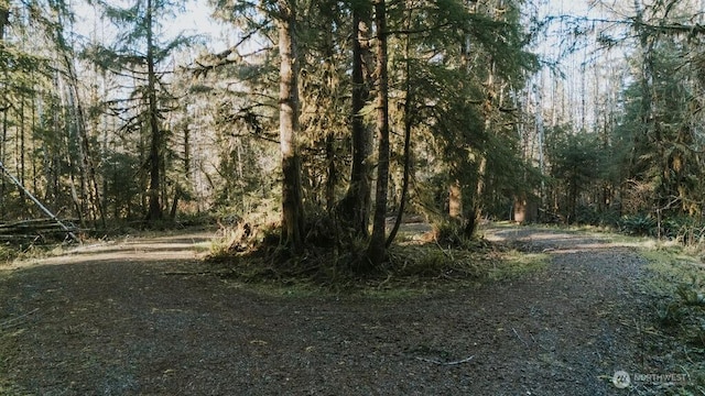 9999 Mina Smith Rd, Forks, WA 98331 - photo 16