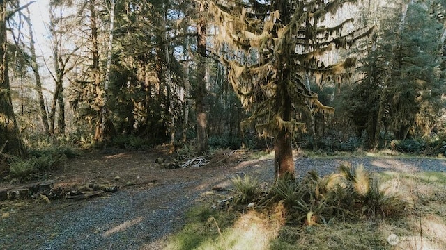 9999 Mina Smith Rd, Forks, WA 98331 - photo 17