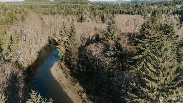 9999 Mina Smith Rd, Forks, WA 98331 - photo 18