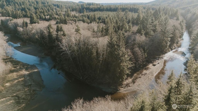 9999 Mina Smith Rd, Forks, WA 98331 - photo 19