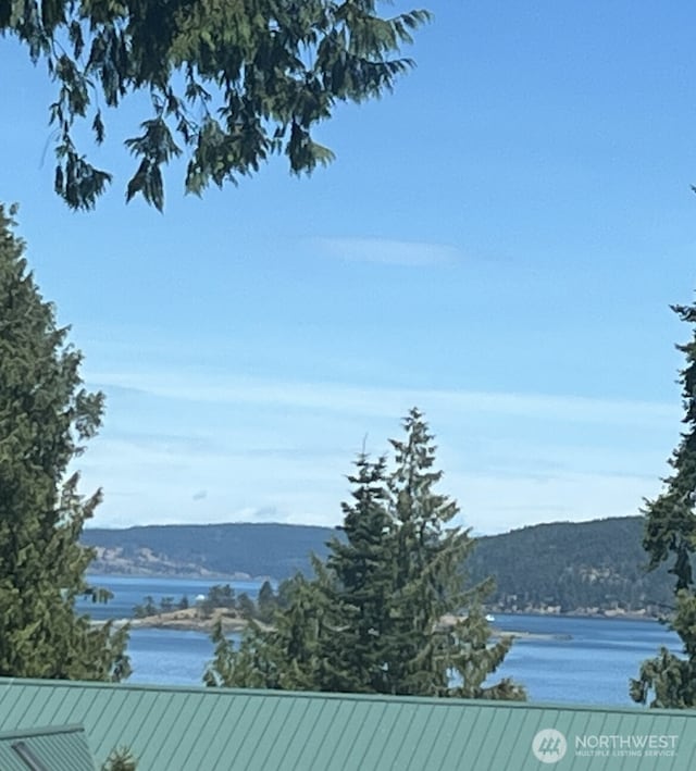 12 Point Caution Dr E, Friday Harbor, WA 98250 - photo 3