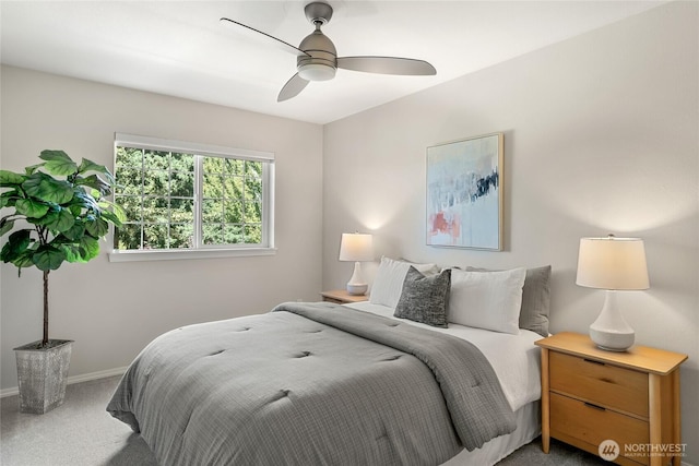 2125 150th Pl SW, Lynnwood, WA 98087 - photo 27