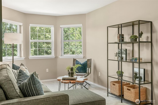 2125 150th Pl SW, Lynnwood, WA 98087 - photo 26