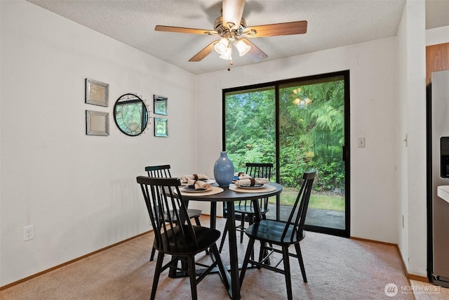15916 17th Avenue Ct NW, Gig Harbor, WA 98332 - photo 10