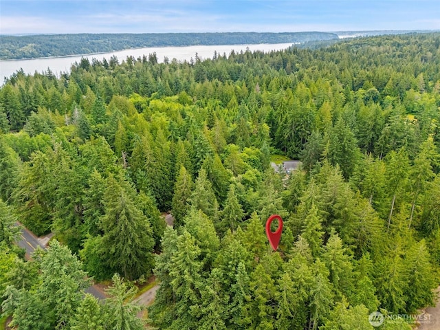 15916 17th Avenue Ct NW, Gig Harbor, WA 98332 - photo 36