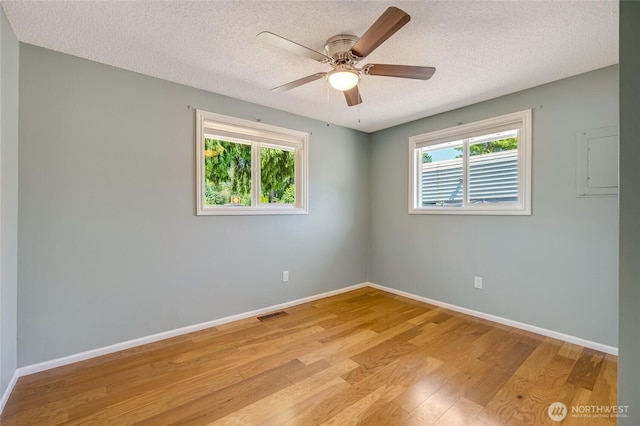 18805 SE 168th St, Renton, WA 98058 - photo 19