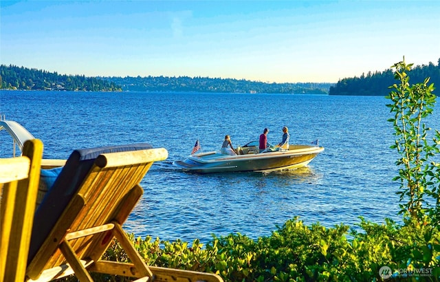 18 Holly Ln, Mercer Island, WA 98040 - water view