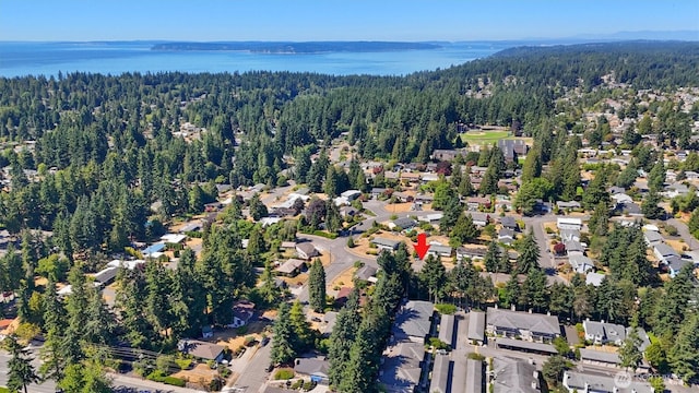 7232 194th Pl SW, Lynnwood, WA 98036 - photo 38
