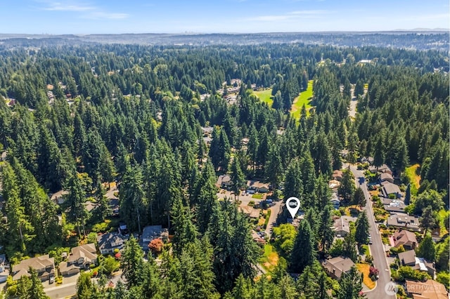 2903 146th Pl SE, Mill Creek, WA 98012 - photo 37