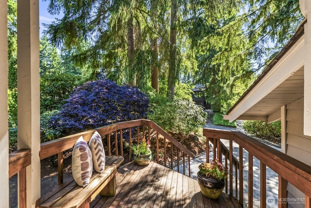 2903 146th Pl SE, Mill Creek, WA 98012 - photo 3