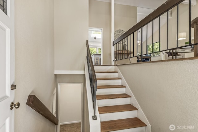 2903 146th Pl SE, Mill Creek, WA 98012 - photo 4