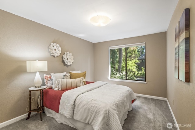 2903 146th Pl SE, Mill Creek, WA 98012 - photo 16