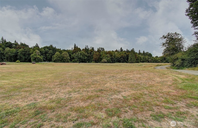 1654 Spencer Rd, Salkum, WA 98582 - photo 24