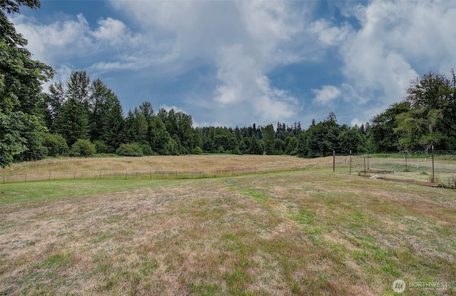 1654 Spencer Rd, Salkum, WA 98582 - photo 28