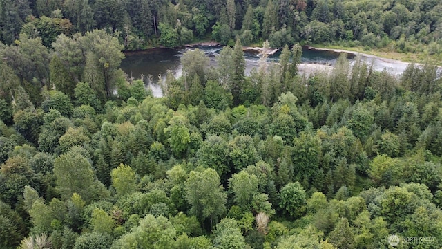 1654 Spencer Rd, Salkum, WA 98582 - photo 33
