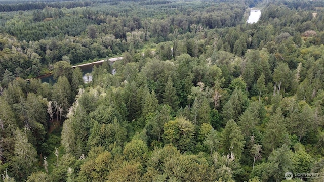 1654 Spencer Rd, Salkum, WA 98582 - photo 34