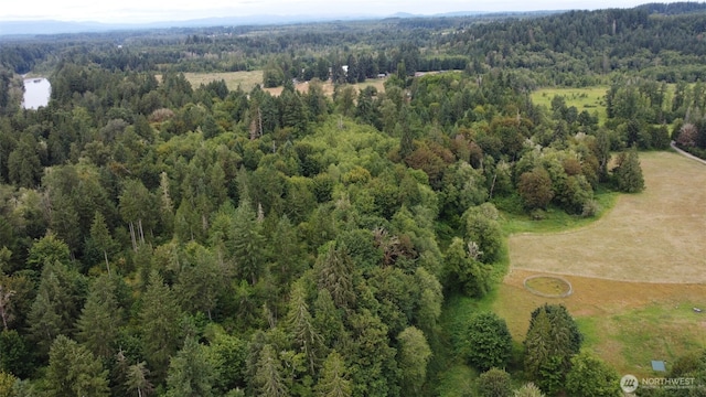 1654 Spencer Rd, Salkum, WA 98582 - photo 38