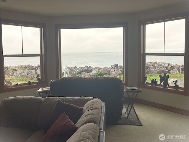 743 Neddie Rose Dr Unit 207, Westport, WA 98595 - photo 16