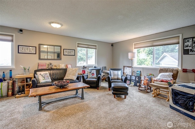 717 Judith Ct, Aberdeen, WA 98520 - carpeted living area featuring a textured ceiling