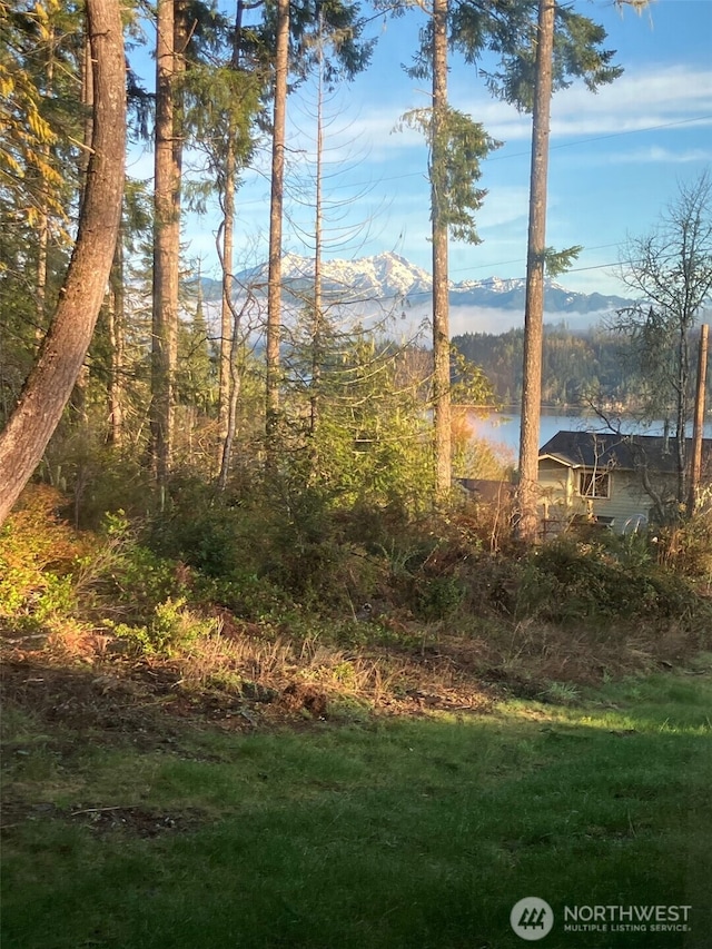 360 E Mcreavy St, Union, WA 98592 - photo 1