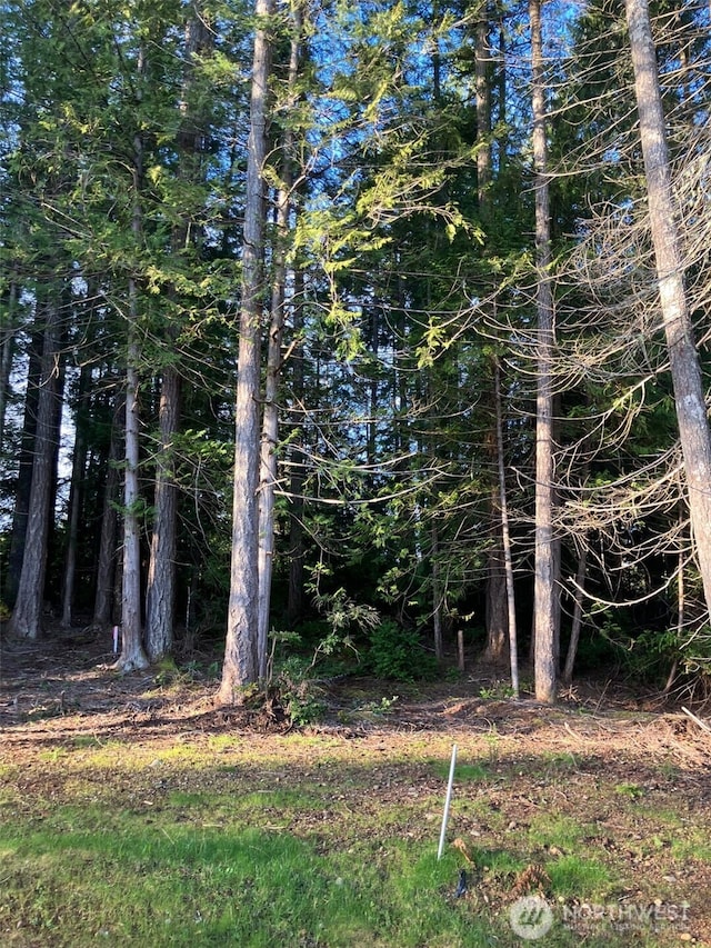 360 E Mcreavy St, Union, WA 98592 - photo 5