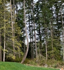 360 E Mcreavy St, Union, WA 98592 - photo 6