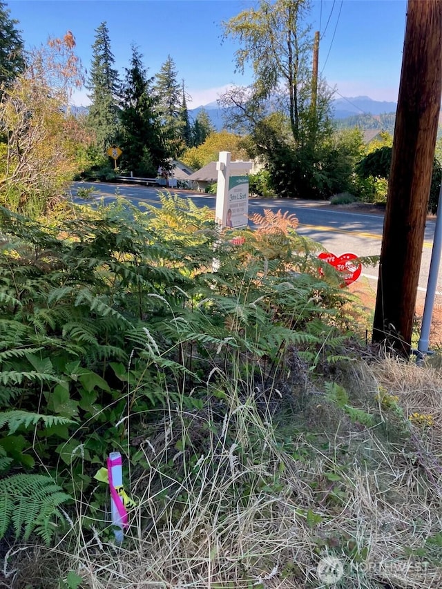 360 E Mcreavy St, Union, WA 98592 - photo 17