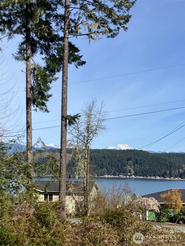 360 E Mcreavy St, Union, WA 98592 - photo 24