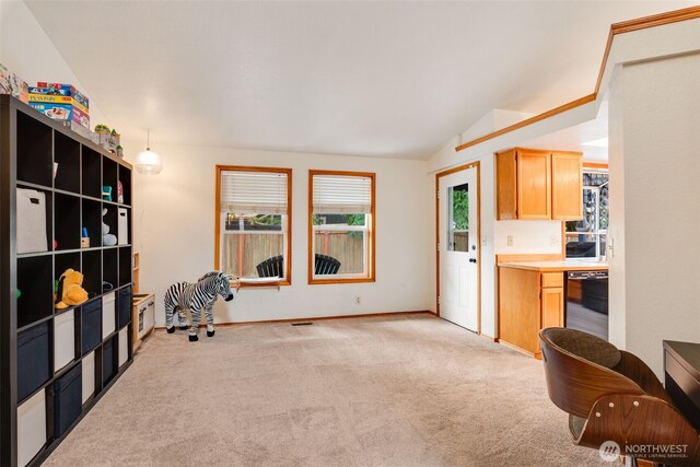 6032 60th Loop SE, Lacey, WA 98513 - photo 15