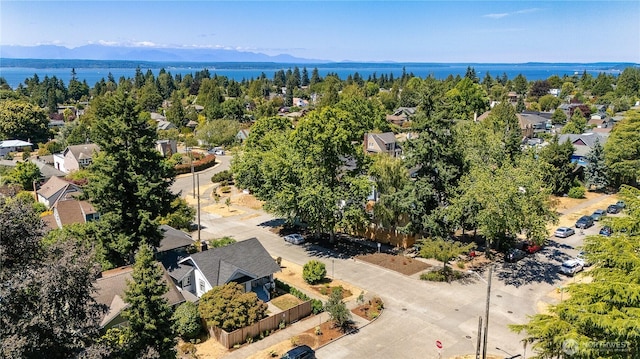 3003 44th Ave SW, Seattle, WA 98116 - photo 30