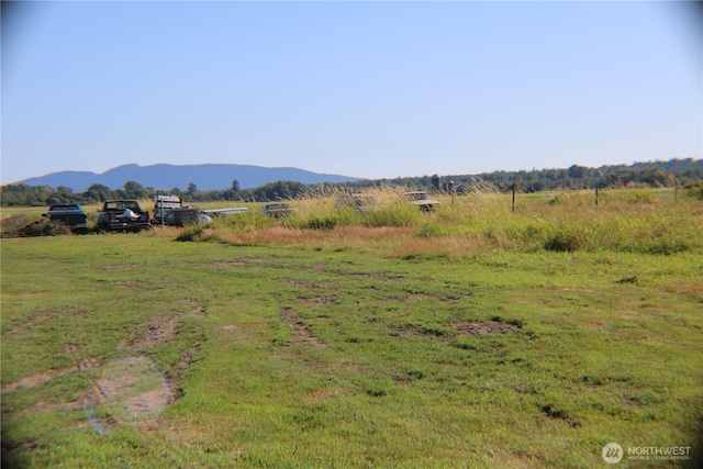1961 Rayhorst Rd, Ferndale, WA 98248 - photo 9