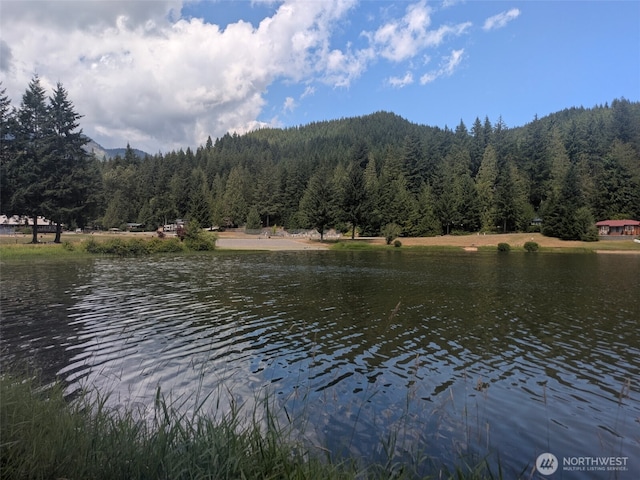 45182 Kimta Loop Unit 3B84, Concrete, WA 98237 - photo 9