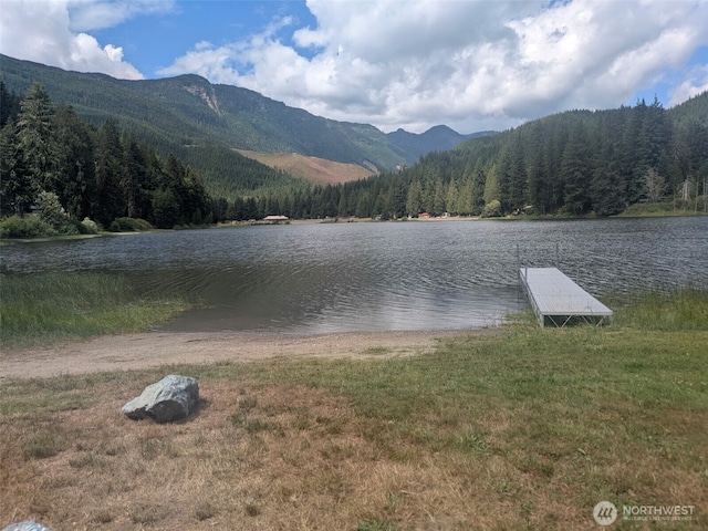 45182 Kimta Loop Unit 3B84, Concrete, WA 98237 - photo 10