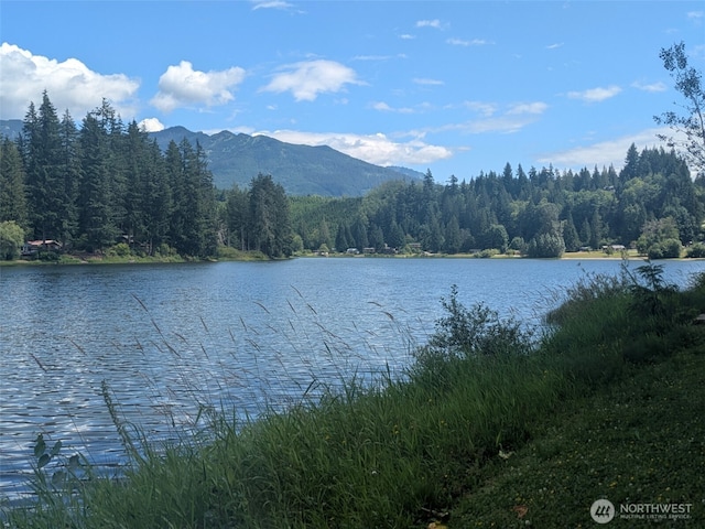45182 Kimta Loop Unit 3B84, Concrete, WA 98237 - photo 17