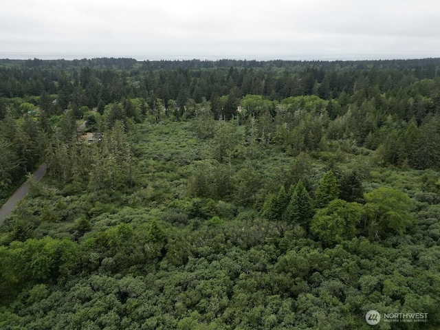 3607 102nd St, Long Beach, WA 98631 - photo 3