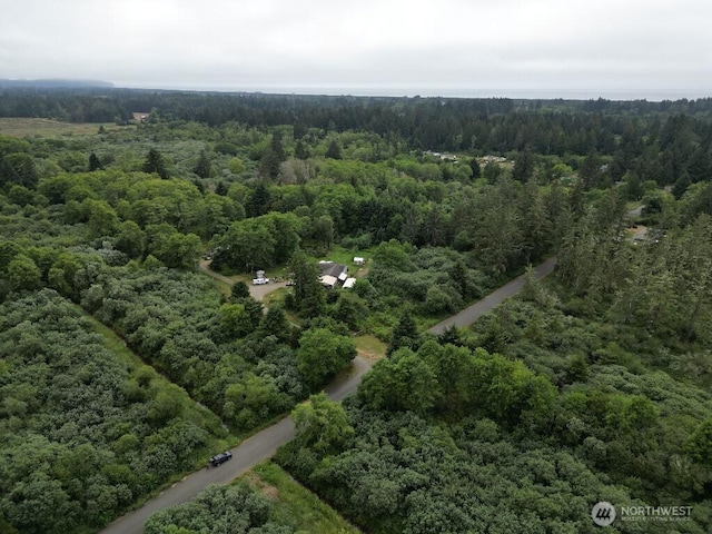 3607 102nd St, Long Beach, WA 98631 - photo 4