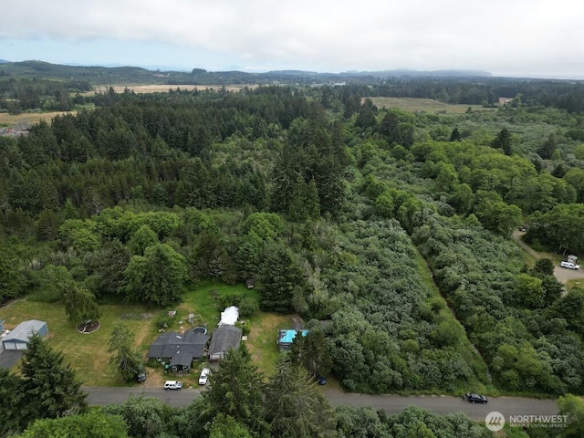 3607 102nd St, Long Beach, WA 98631 - photo 5