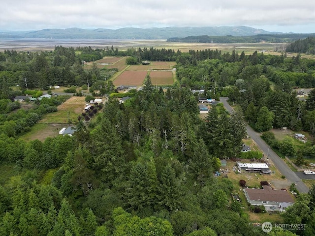3607 102nd St, Long Beach, WA 98631 - photo 6