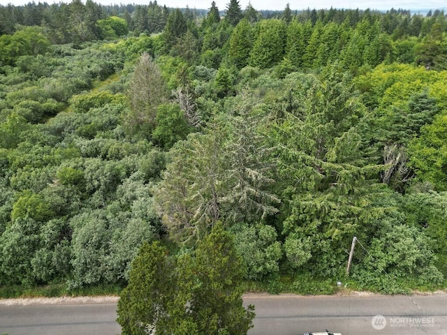 3607 102nd St, Long Beach, WA 98631 - photo 7