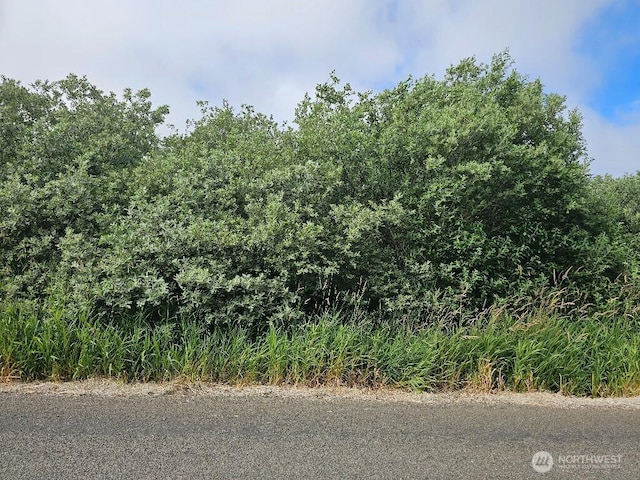 3607 102nd St, Long Beach, WA 98631 - photo 10